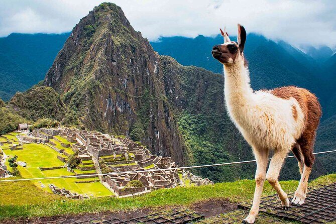 Machu Picchu Day Trip from Ollantaytambo & Urubamba - Considerations and Possible Drawbacks