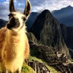 MACHU PICCHU full day - Return journey and considerations