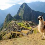Machu Picchu Full Day (By Train) - Transportation and Logistics: Why They Matter