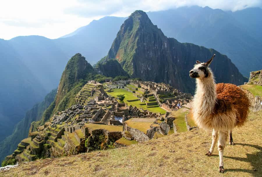 Machu Picchu Full Day (By Train) - Transportation and Logistics: Why They Matter