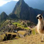 Machu Picchu in one day - What Reviewers Say About This Tour