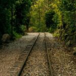 Machu Picchu Trips One Day Tour with Inca Rail Train from Cusco - Who Is This Tour Best For?