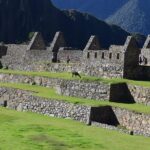 Machupicchu full day private tour - The Sum Up