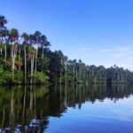 Madre de Dios: Lake Saldoval + Visit to the Macaws - Practicalities and Value