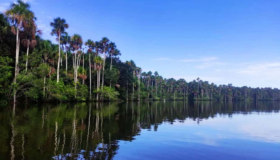 Madre de Dios: Lake Saldoval + Visit to the Macaws - Practicalities and Value