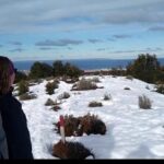 Magallanes National Reserve and Punta Arenas City Tour - City Highlights: Plaza Muñoz Gamero