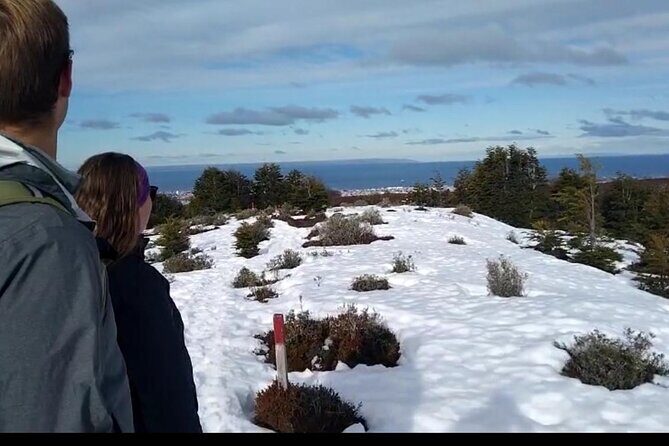 Magallanes National Reserve and Punta Arenas City Tour - City Highlights: Plaza Muñoz Gamero
