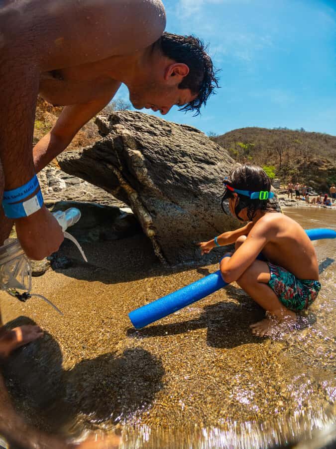 Magdalena: Tayrona Park Cruise with Snorkeling & Beaches - Why This Tour Is a Solid Choice