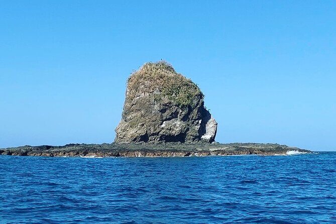 Magic of the rainforest - Exploring Costa Rica Your Way: The "Magic of the Rainforest" Tour