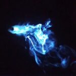 Magical Bioluminescent Night Dive - Who Would Love This Tour?