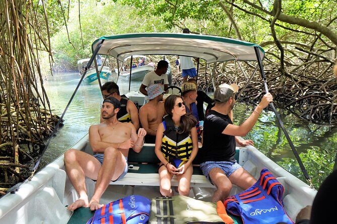 Magical Full-Day Tour Through The Mangroves And The Beach In Isla de Barú - Who Is This Tour Perfect For?