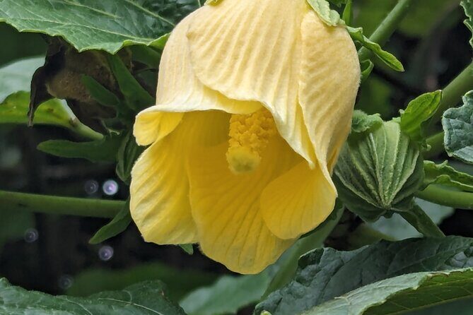 Magical Hike: Fresh Water Lake