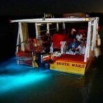 Magical Luminous Lagoon Private Tour - A Full Breakdown of the Tour Experience