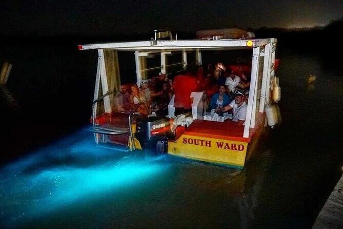 Magical Luminous Lagoon Private Tour - A Full Breakdown of the Tour Experience