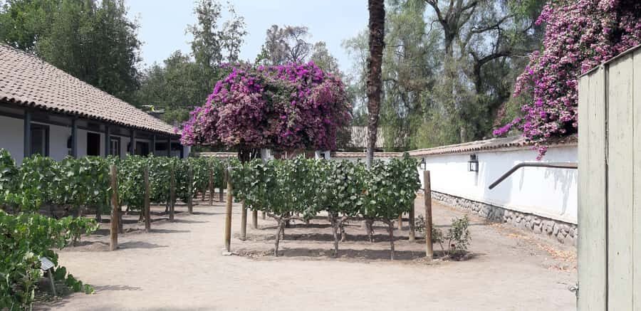 Maipo Valley: Private Full-Day Wine Tour - Detailed Review of the Maipo Valley: Private Full-Day Wine Tour