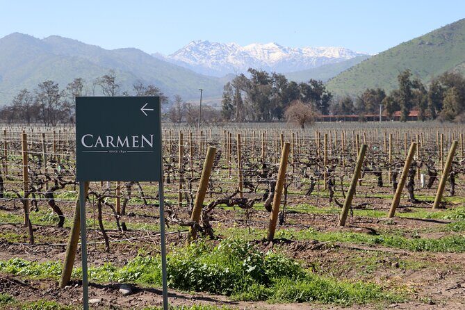 Maipo Valley Top Wineries Private Tours and Tastings from Santiago - Who Should Consider This Tour?