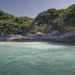 Majagua Island Day Trip from Cartagena íncluding Traditional Colombian Lunch - Conclusions