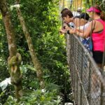 Majestic Arenal Volcano(Boat, Rainforest, Hot Springs) Guanacaste - A Detailed Look at the Arenal Volcano Tour