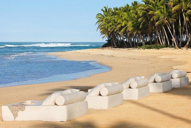 Majestic Elegance - Round Trip Shuttle - Punta Cana Airport - First Impressions and Initial Contact