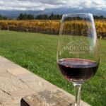 Malbec Madness Tour - Exploring Mendoza’s Malbec with the Malbec Madness Tour