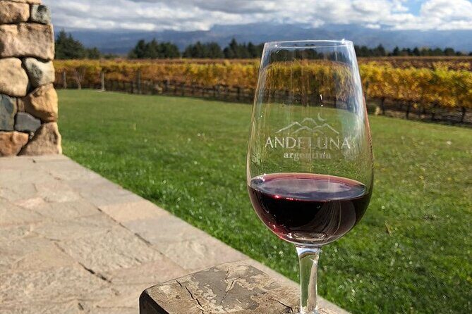 Malbec Madness Tour - Exploring Mendoza’s Malbec with the Malbec Madness Tour