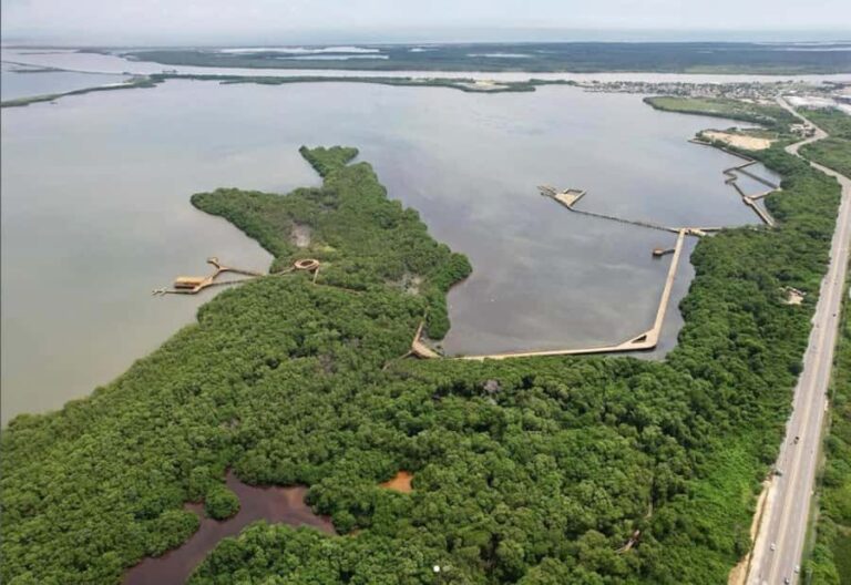 Mallorquin Eco-Park Walking Tour - An In-Depth Look at the Mallorquin Eco-Park Walking Tour