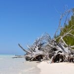 Mamma Gal Celeb-Key Native Exp. Shared Tour - Authenticity and Value: Why Choose This Tour