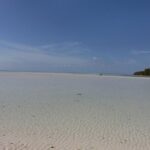 Mamma Gal East End Native Experience - In Summary