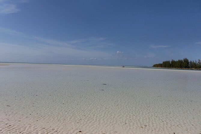 Mamma Gal East End Native Experience - In Summary