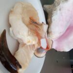 Mamma Gal Native Experience - FAQ