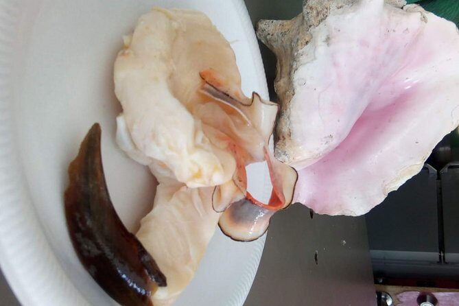 Mamma Gal Native Experience - FAQ