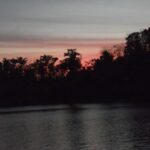 Manaus: Amazon Jungle Tour with Alligator Night Watch - A closer look at the Amazon Night Watch Experience