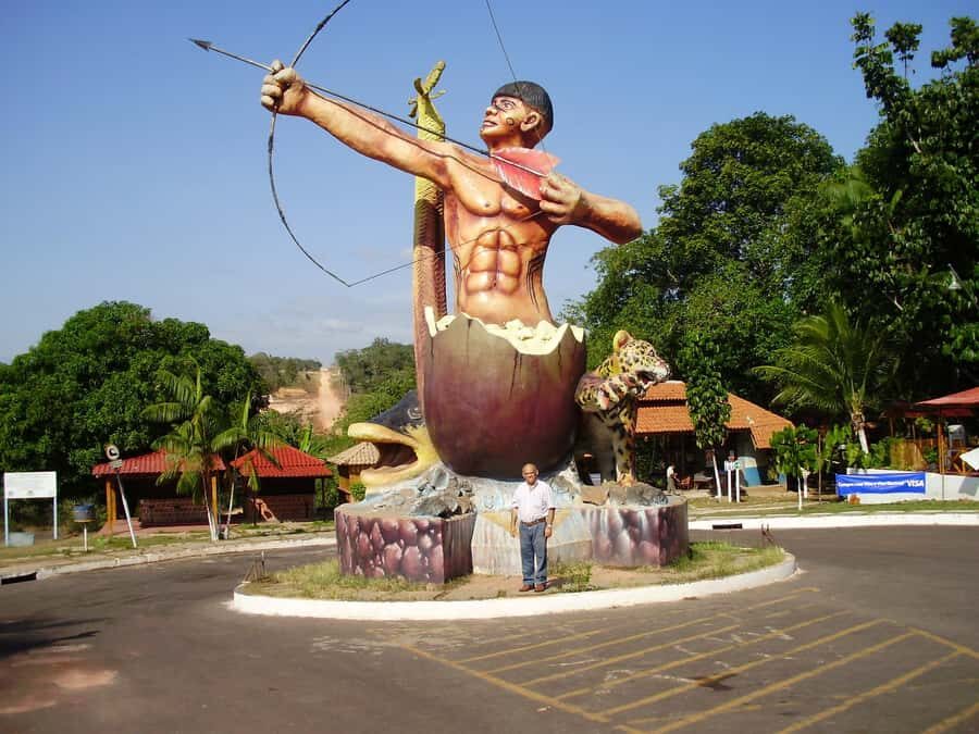 Manaus: Amazon Waterfalls Day Trip with Lunch - Who Should Consider This Tour?