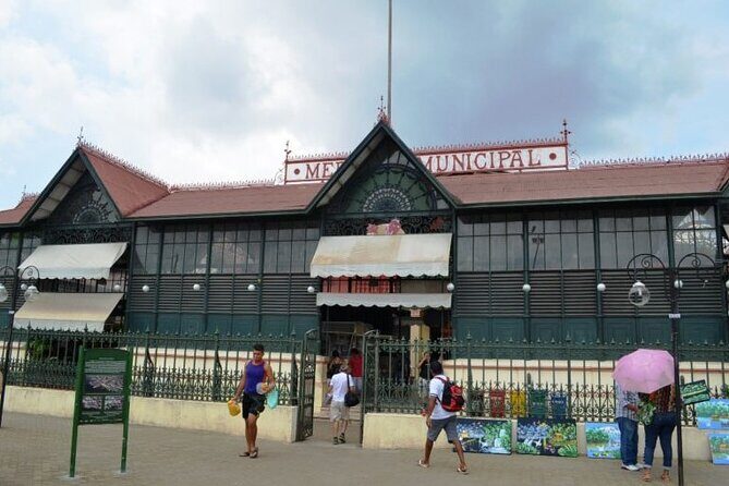 Manaus City Tour e Musa - Is This Tour Worth It?