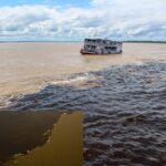 Manaus: Guided Tour of the Port and Floating House - Who Will Appreciate This Tour?