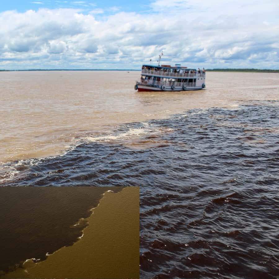 Manaus: Guided Tour of the Port and Floating House - Who Will Appreciate This Tour?