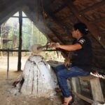 Manaus: Museu do Seringal Rubber Museum - Who Should Consider This Tour?