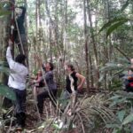 Manaus : Survival in the Amazon Jungle - Who Should Consider This Tour?