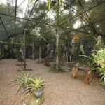 Manaus : Visit to MUSA (Amazon Museum) - Why This Tour Offers Real Value