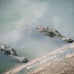 Mancora: Puerto Pizarro - Tour Mangrove Mysteries - Who Is This Tour Best For?