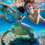 Mancora: Swimming and bathing with turtles | Entrance | - The Itinerary Breakdown
