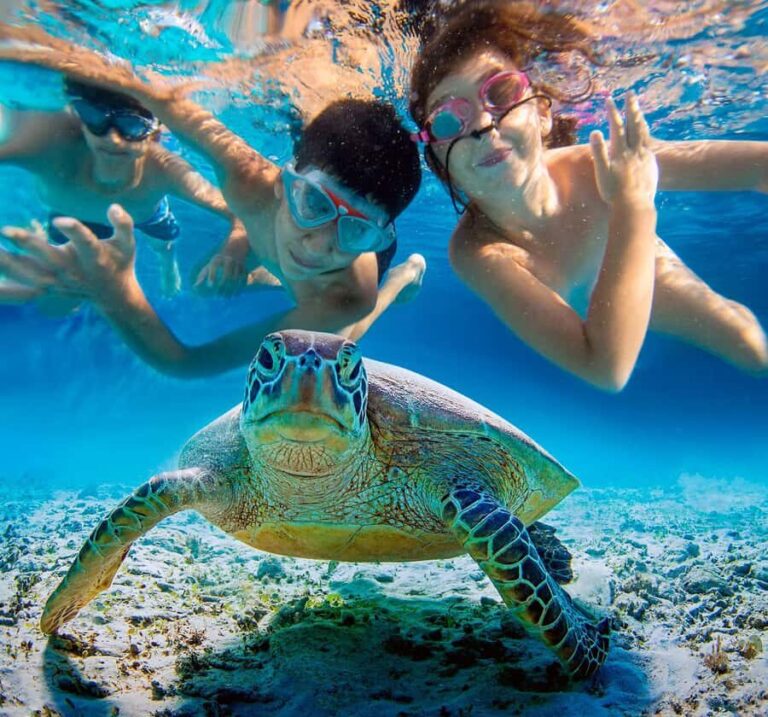 Mancora: Swimming and bathing with turtles | Entrance | - The Itinerary Breakdown