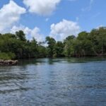 Mangove boat tour - Rio San Juan Guided 4-6 hour tour - Detailed Breakdown of the Itinerary