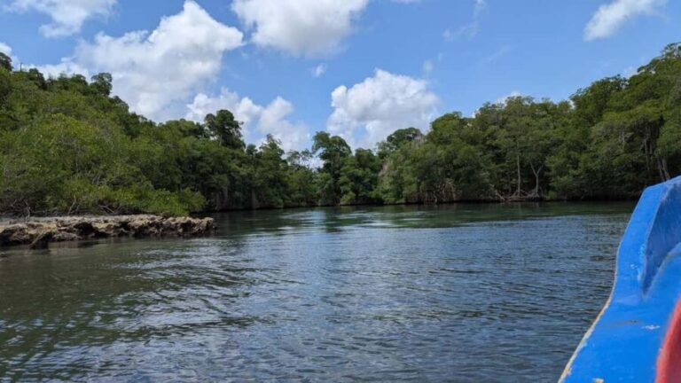 Mangove boat tour - Rio San Juan Guided 4-6 hour tour - Detailed Breakdown of the Itinerary