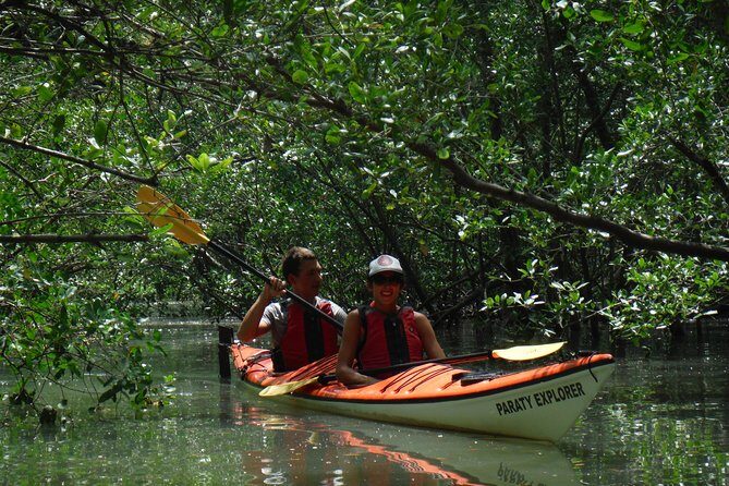 Mangrove, Beaches and Islands by Kayak tour - Who Should Consider This Tour?
