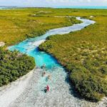 Mangrove Cay Tour - What to Expect in Terms of Comfort and Logistics