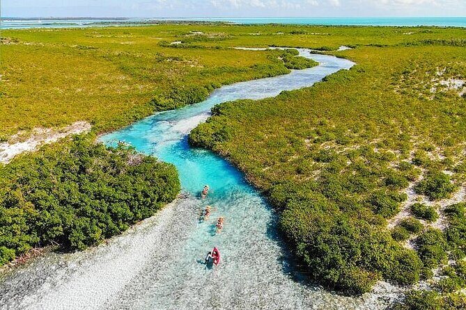 Mangrove Cay Tour - What to Expect in Terms of Comfort and Logistics