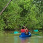 Mangrove Damas Island Kayak Tours - Why This Tour Is Worth It