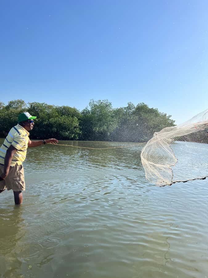 Mangrove ecotour and fishing in Cartagena's natural mangrove - Why This Tour Is Worth It