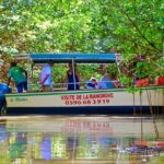 Mangrove Guided Tour - Who Should Consider This Tour?
